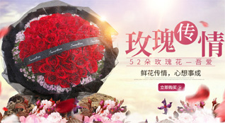 浙江省嘉兴桐乡市屠甸镇鲜花速递